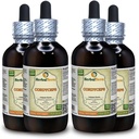Cordyceps (Cordyceps Sinensis) Tincture, אורגני אבקת Dried Mushroom תמצית נוזלי (שםBrand: HerbalTerra, Proly Made in USA) 4x4 fl.oz (4x120 מ"ל)