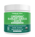 אורגני Barley Grass אבקת Juice - Grown in Volcanic Soil של יוטה - Raw & BioActive Form, Cold-Pressed אז CO2 Dried - Gluten Free, GMO חינם, טבעוני - Complements חיטה