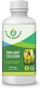 תוספי משקאות נוזליים ימיים -1,000 מ"ג Morikol Tripeptide Marine Collagen Plus 1,000 מ"ג ביוטין Hyaluronic Acid ויטמין C שיער עור בריא נומס תמיכה משותפת GMP מוסמך גלוקוז & סויה חינם חינם חינם חינם