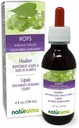 Naturalma Hops (Humulus lupulus) סטרבילוס או Cone (Feנקבה Flowers) אלכוהול חינם טינקורה - 4 oz נוזל לחלץ טיפות - Herbal - טבעוני