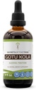 סודות של השבט Gotu Kola Tincture אלכוהול לחלץ, Gotu Kola (Centella Asiatica) Dried Herb (4 FL OZ)