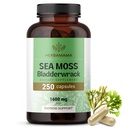 HerBAMAMA Irish Sea Moss כמוסות - 1600mg Sea Mosss ו Bladderwrack for Immune Support - טבעוני, Non-GMO Immunity תוסף לתמיכה כוללת
