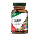 Flordix Iron + Herbs - תוספת ברזל לתמיכה באנרגיה בריאה * - תמיכה Red Blood Formation - טבעוני, non-GMO, Gluten-Free, Soy-Free - 60 נוזל Phyto-Caps