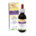 Naturalma ג'ינג'ר (Zingiber officinalis) Rhizome Alcohol-Free Tincture - 4 fl oz Liquid Extracts - Herbal Supplement - טבעוני