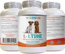 Immune System Food - אבקת כלבים - טופס אבקה טהורה - תמיכה במערכת החיסון - Vet המומלצת - lysine Doubleחוזק - 1 בקבוק (8oz 226.8 גרמות)