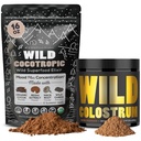 Cocotropic אורגני Mushroom Cacao Mix (16oz) & Colostrum אבקת (5.22oz) Bundle for Gut Health and Energy