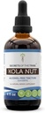 סודות של השבט Kola Nut Tincture אלכוהול חינם לחלץ, קולה אגוזי אגוזים (קולה Acuminate) Dried Nut (4 FL OZ)
