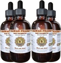Saw Palmetto נוזל לחלץ, אורגני Saw Palmetto (Serenoa Repens) Tincture, תוסף צמחי, הוואי Pharm, Made בארה"ב, 4x4 fl.oz