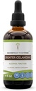 סודות של השבט גדול יותר Celandine Tincture אלכוהול לחלץ, גדול יותר Celandine (Chelidonium majus) 4 OZ