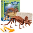 Geoworld Triceratops Dino Dig Kit - להרכיב מודל דינוזאור 8-Inch Authentic Skeleton - חוויית הלמידה האולטימטיבית לילדים בגילאי 6+