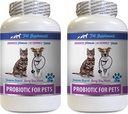 כלב פרוביוטיקה ואנזימים העיכול - ProBIOTICS עבור חיות מחמד - כלבים חתולים - Bad Gas and Breath Treats - Advanced Immune Boost - כלב פרוביוטיקה עבור Bad Breath - 2 בקבוקי בקבוק (120 טיפולים)