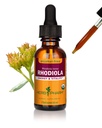 Herb Pharm מוסמך אורגני Rhodiola שורש לחלץ אנרגיה, אנדורנס וסטמינה, אלכוהול חינם Glycerite, 1 Ouncecece