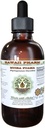 Muira Puama Alcohol-Free Liquid Extract, Organic Muira Puama (Ptychopetalum Olacoides) Glycerite Natural Herbal Supplement, Hawaii Pharm, USA 4 oz