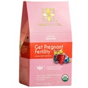 סודות תה פוריות תה לנשים - Chaste Berry Tea with Red Raspberry Leaf for Balance & Circle Support - תה הריון תומך הטרימסטר הראשון - 20 Count - 1 Pack