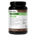 BODi Recover Plant-מבוסס אבקת חלבון המבוססת על צמחיית ה-Post-Workout Chocolate Plant-based Supplement forשרירים Recovery with 20g חלבונים, BCAAs, Pomegranate Extract - Fast Recovery - 20 משרת Tub