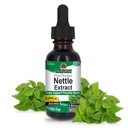 תשובתו של הטבע Nettle Leaf 1oz לחלץ | Prostate Suppot | ההרחבה Dark Green Nettle Leaf Herbal Supplement