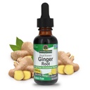 תשובתי של הטבע: ג'ינג'ר Root Alcohol לחלץ 1 Ounce | תמיכה בתפקוד Stomach