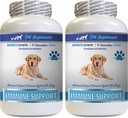 Immune תומך בויטמינים - כלבים Immune Support - Burdock Root Extract אורגני - Burdock Root for Dogs - Immune Dog Pills, Immune Support for Probiotic, Immune Support Supplement 2 Bot (120 Chews Chews)