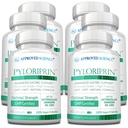 מוסמך מדע Pyloriprin - תמיכה מתקדמת עבור בטן בריאה - Zinc L-Carnosine, Probiotic, Broccoli Sprout, Deglycyrrhated Licorice - 360 קפסולות - 6 חודשים אספקה - טבעוני טבעוני טבעוני