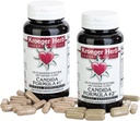 מוצרי Kroeger Herb Candida פורמולה #1 ו -2, תוסף קלאז לנשים וגברים - תומך רמות נורמליות של Yeast ו Candida