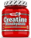 Amix Creatine Monohydrate - אבקה 300 גרמים