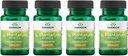 Swanson L. Plantarum - תוסף Digestive לקידום מאזן העיכול של Gastro ו- Bowel סדירות - פורמולה טבעית כדי לעזור להפחית - (30 ואג'י קפסולות) 4 Pack