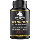 Fast Acting, אורגני Acacia Senegal סיבים קפסולות 300pk. Natural Soluble סיבים גלולות. טבעוני Prebiotic קפסולות.