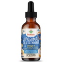 2000MG Liposomal Glutathione נוזל, 98% Absorption, Active Form L-Glutathione תוסף, טבעוני ידידותי, Powerful Antioxidant Complex for Immune System, Aging Defense, Detox, 2 FL.OZ