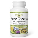 HerbalFactors by Natural Factors, Horse Chestnut, Antioxidant Support for a Healthy Circulatory System and Veins with GrapeSeedRich, 60 קפסולות (60 מנות)