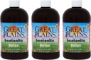 Yerba Prima Great Plains Bentonite Clay - 16 oz (Pack of 3) - נוזל פנימי טבעי Clay ניקוי תוסף