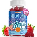 Melatonin Sleep Support Gummies (60 Count) Strawberry Sunset צ'יפס | 2.5mg Per Gummy Sleep Supplement for Children and Adults