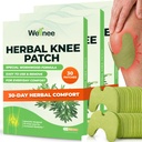 Wellnee Original Herbal Knee Patch - Wellknee Plaster עבור תמיכה בברך וכאב שרירים - כוח מקסימלי עבור הקלה זמנית - Adhesive Heat Patches Made with Natural Herbs עבור בריאות (30 פאות)