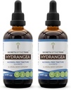 סודות של השבט hydrongea Tincture אלכוהול חינם לחלץ, hydrongea (Hydrangea arborescenscens) Dried Root (2x4 FL OZ)