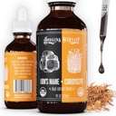 הודג'ינס קציר אריה אורגני Mane + Cordyceps Tincture | Made with Mushrooms Grown On Our Farm in the USA | Double Extracted (4 floz)