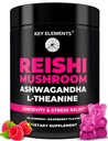 טבעי Reishi Mushroom Gummies & L Theanine with Ashwagandha - תוספי מזון ל- Immune Support, Stress & Improve Gummies - Ashwagandha Gummies עבור נשים וגברים