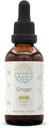 HerbEra ג'ינג'ר B60 אלכוהול-Free Herbal Extract Tincture, Super-Concentrated ג'ינג'ר (Zingiber officinale) 2 fl oz oz oz