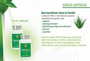 מוצרים מזינים Capsulas de Savila, Aloe Vera קפסולות 500 מ"ג. Set de 2 frascos 100 capsulas CADA uno.Efectivo Contra ulceras,agruras,malaion,Colitis,estreñimiento. Dura mas de 3 Meses