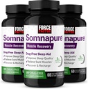 עבור FACTOR Somnapure השרירים Recoveryאיידס עבור מבוגרים עם מלטונין 5 מ"ג, בזיל הקדוש, L-theanine, תוספת לתמיכה בשינה, שריר הקלה, ושיקום שרירים, 180 Caps, 3PackackK