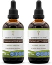 סודות של השבט Sting Nettle Root Tincture אלכוהול לחלץ, High-Potency Herbal Drops, Tincture עשוי Sting Nettle Urtica diica הנשימהtory ו- Urinary System Health 2x4 oz