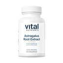 Vital Foodsents - Astragalus Root Extract - פורמולה טבעונית - תמיכה צמחית עבור מערכת החיסון - 90 קפסולות צמחוניות לבקבוק - 300 מ"ג