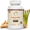 Acid & Indigestion הקלה, Safe Antacid אלטרנטיבי עבור Occasional Acid Reflux & Heartburn, ג'ינג'ר, Curcumin, Spearmint & More - Phd Doctor-Formulated & Clincially-Studied - 30 משרתים