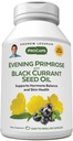 AndREW LESSMAN Evening Primrose and Black Currant Seed Oil 60 Softgels - Soothes Physical Discomfort ו- Mood Swings בשל מחזור Menstrual, עם Gamma-Linolenic, אומגה 6 Fatty Acids, No Additsives