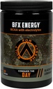 BFX Energy Pre Workout אבקת תוסף (BlackBerry Lemonade) עם BCAA, אלקטרוליטים, ו-Green Tea Leaf for Natural Caffeine, Intra and Post Workout השריר התאוששות, 30 משרתים