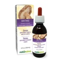 Naturalma Shiitake (Lentinula edodes) Fungus או Mushroom אלכוהול חינם Tincture 4 fl oz נוזל לחלץ טיפות | Herbal Supplement