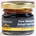 Be Bodywise Pure Hilajit Resin Gold I Lab נבדק I Ashwagandha, Gokshura & Saffron I Fulvic Acid & Trace מינרלים I Shilajit עבור גברים ונשים | Zero Sugar I 100% אורגני וטבעי I 30 gm.