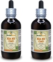 Xia Ku Cao, Prunella (Prunella Vulgaris) Tincture, אורגני Dried Spike פוליקת נוזל לחלץ (שםBrand: HerbalTerra, המיוצר גאה בארה"ב) 2x4 fl.oz (2x120 מ"ל)