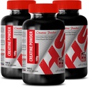 אבקת CREATINE 100G - Creatine Bulk - 3 בקבוק (Powder)