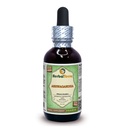 Ashwagandha (עםia Somnifera) Glycerite, אורגני Dried Root אלכוהול חינם לחלץ 2 oz