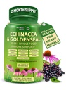 Echinacea Goldenseal כמוסות - 10 ב 1 Immune תמיכה תוסף - 1455 מ"ג - טבעוני Echinacea קפסולות תוספת עשוי עם מזון אורגני שלם - תמיכה של מערכת החיסון שלה - 2 חודשים אספקה