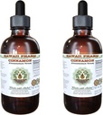 Cinnamon אלכוהול חינם לחלץ, Cinnamon (Cinnamomum Verum) Dried Bark Glycerite הוואי Pharm טבעי התוספת 2x4 oz